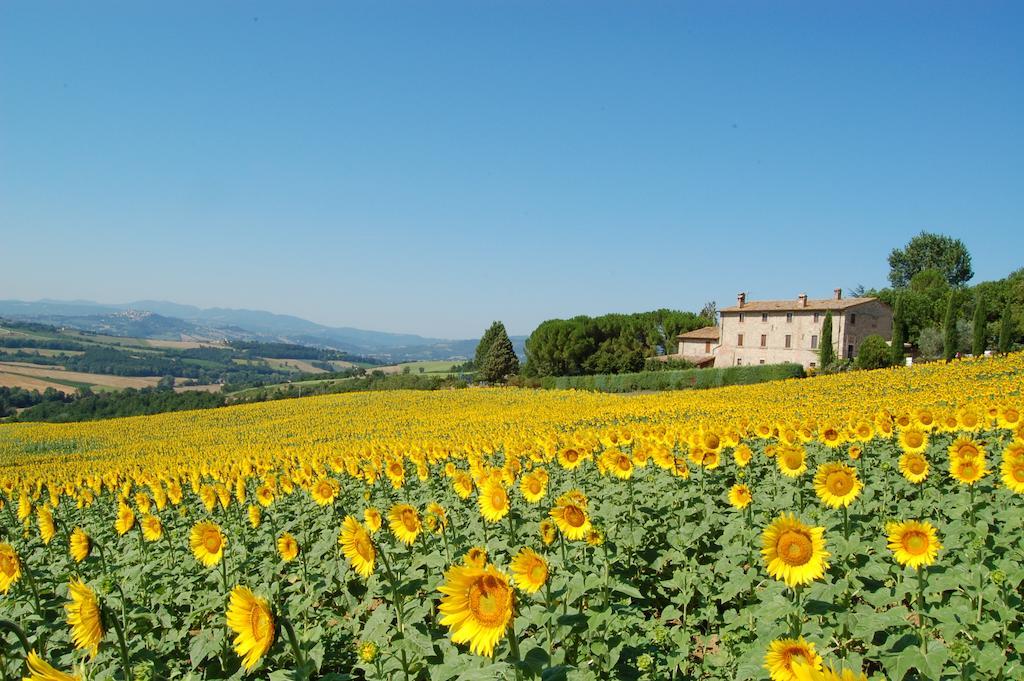 Agriturismo Casale Dei Frontini San Terenziano Luaran gambar