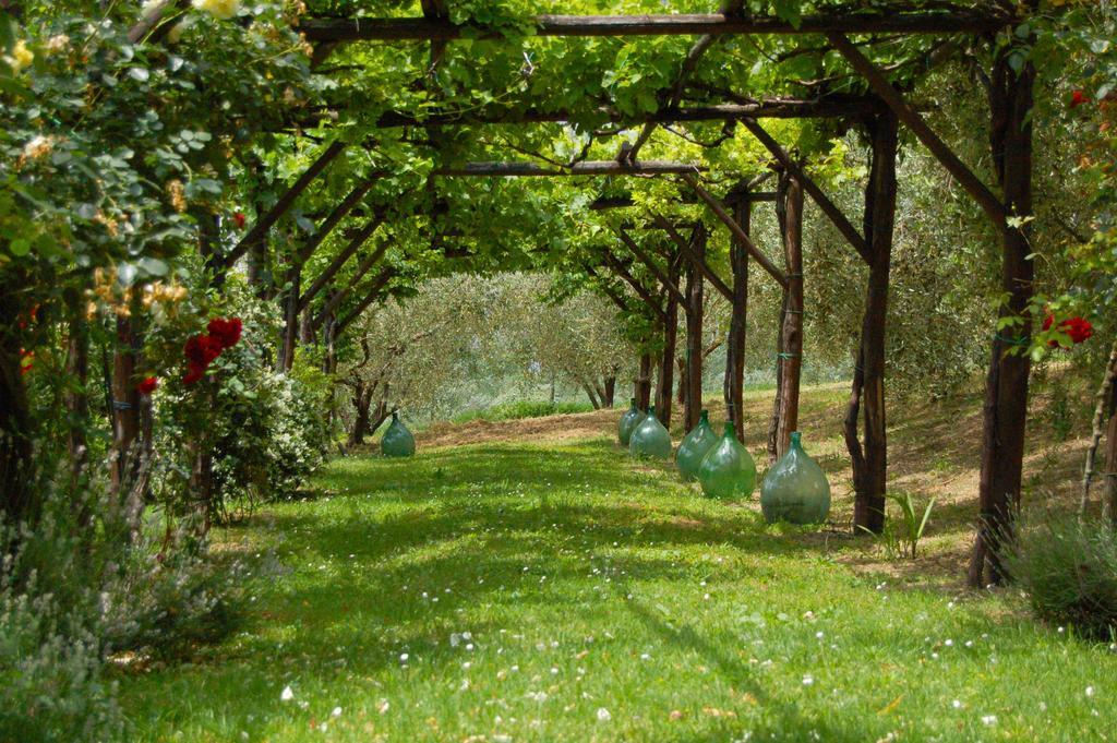 Agriturismo Casale Dei Frontini San Terenziano Luaran gambar