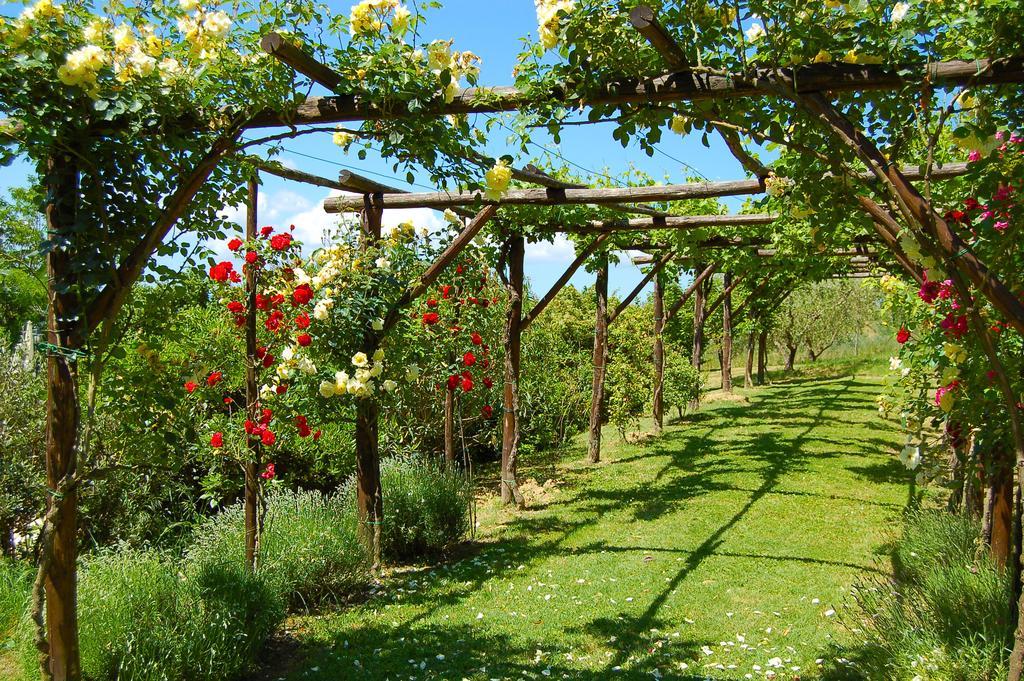 Agriturismo Casale Dei Frontini San Terenziano Luaran gambar