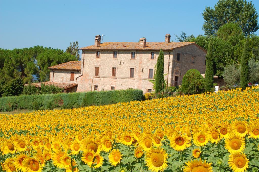 Agriturismo Casale Dei Frontini San Terenziano Luaran gambar