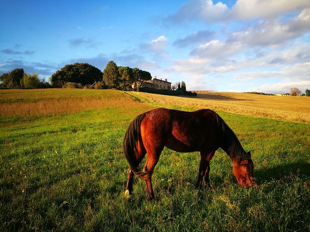 Agriturismo Casale Dei Frontini San Terenziano Luaran gambar