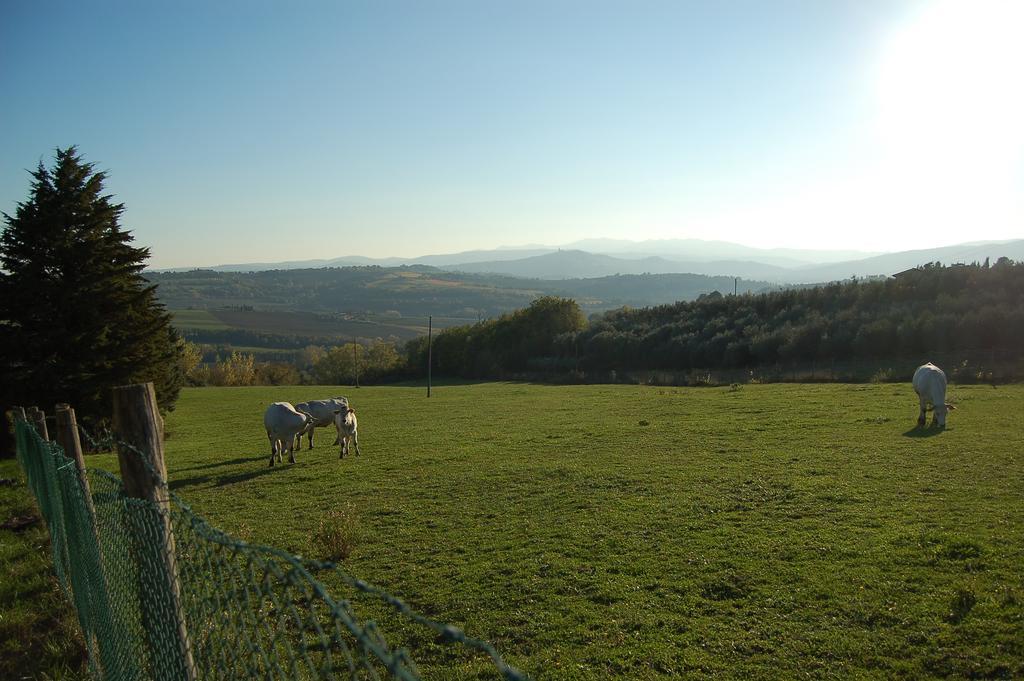 Agriturismo Casale Dei Frontini San Terenziano Luaran gambar